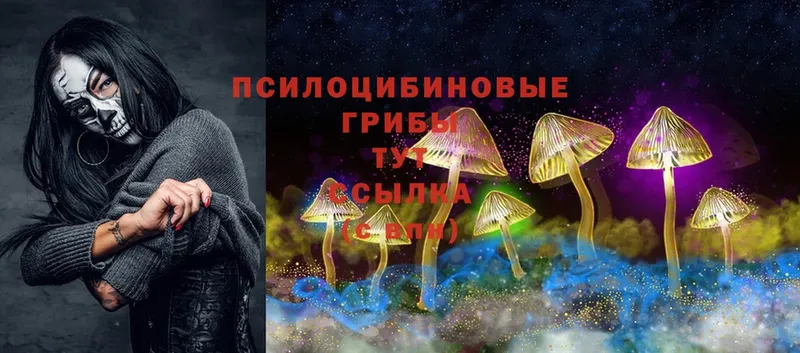 Галлюциногенные грибы Magic Shrooms  Ветлуга 